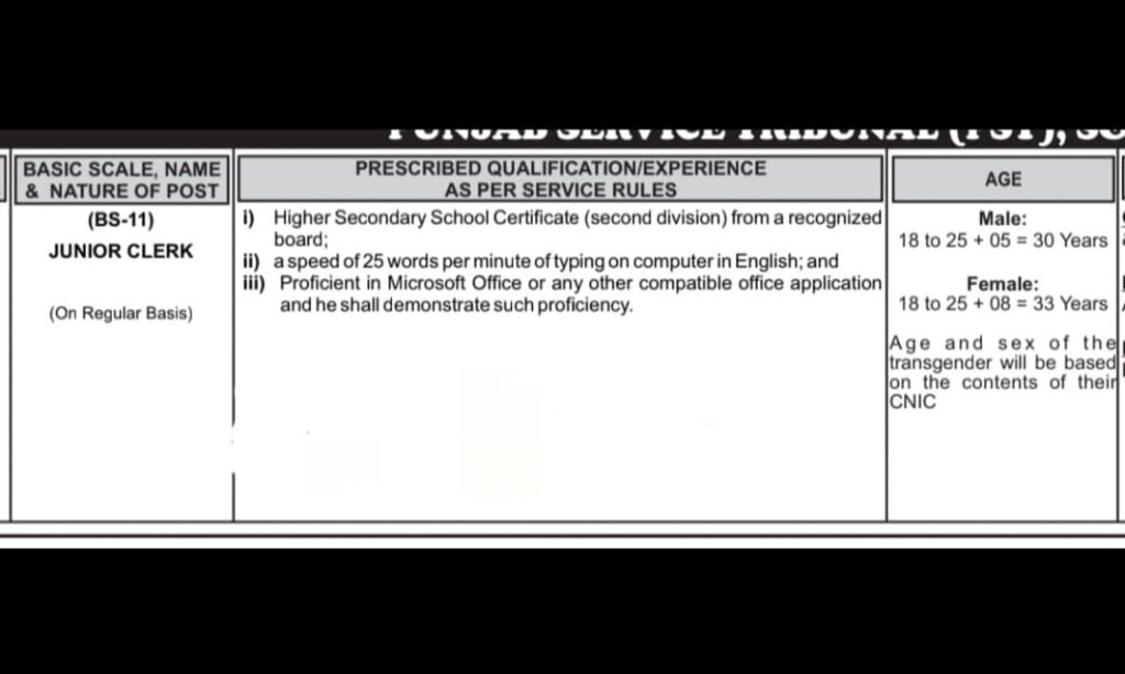 Junior Junior Clerk Jobs